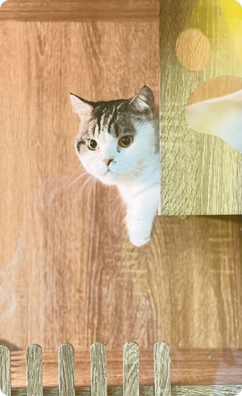 42